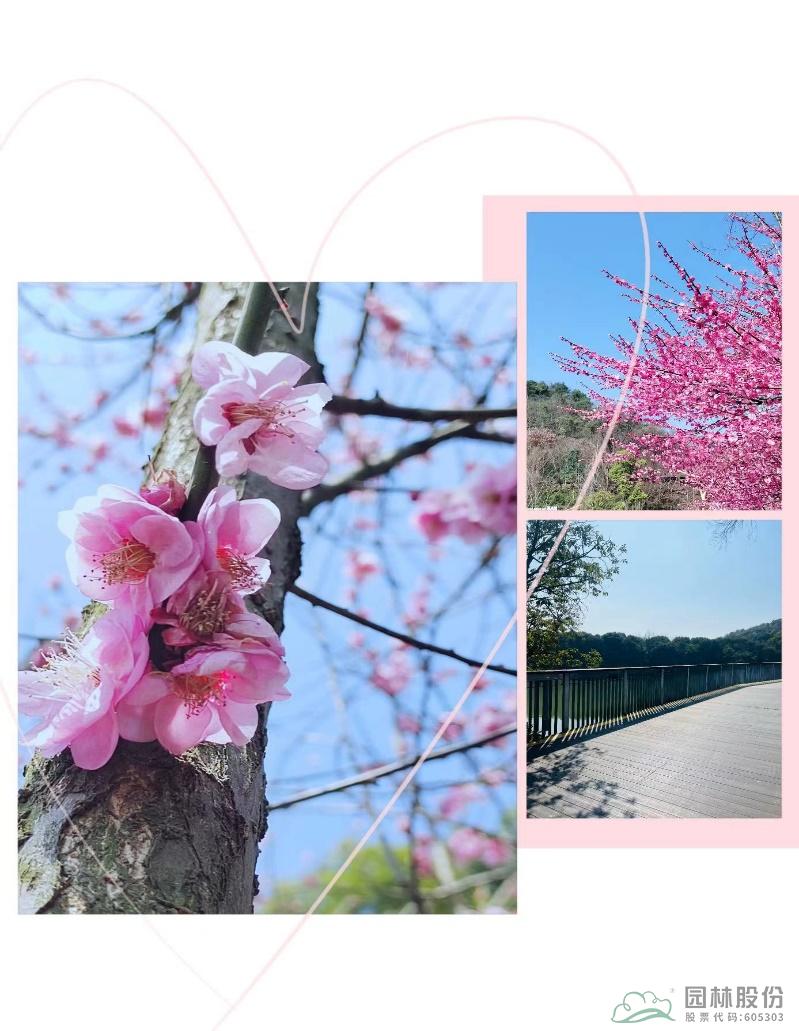 彩运网(中国游)官方网站