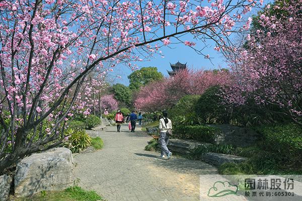 彩运网(中国游)官方网站