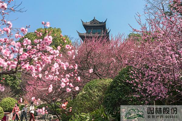 彩运网(中国游)官方网站