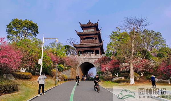 彩运网(中国游)官方网站