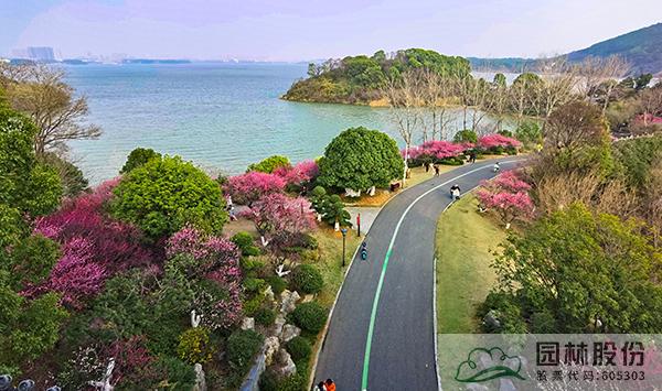 彩运网(中国游)官方网站