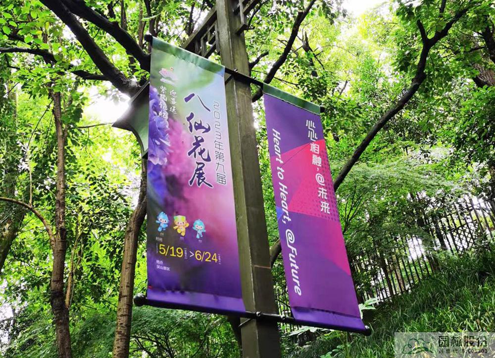 彩运网(中国游)官方网站