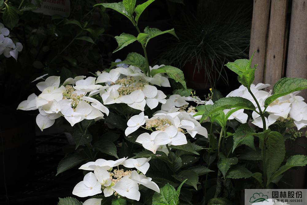 彩运网(中国游)官方网站