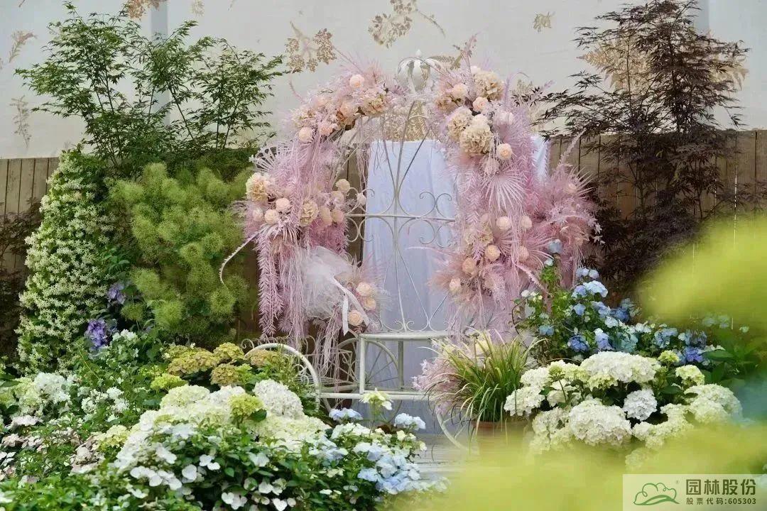 彩运网(中国游)官方网站