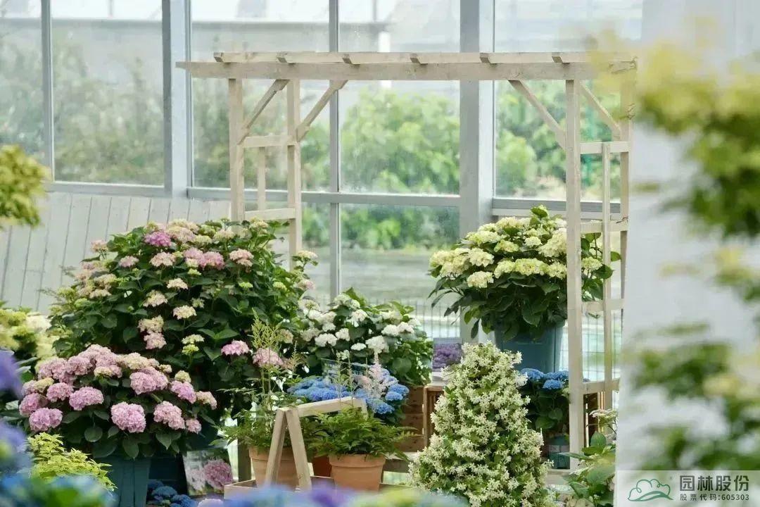 彩运网(中国游)官方网站