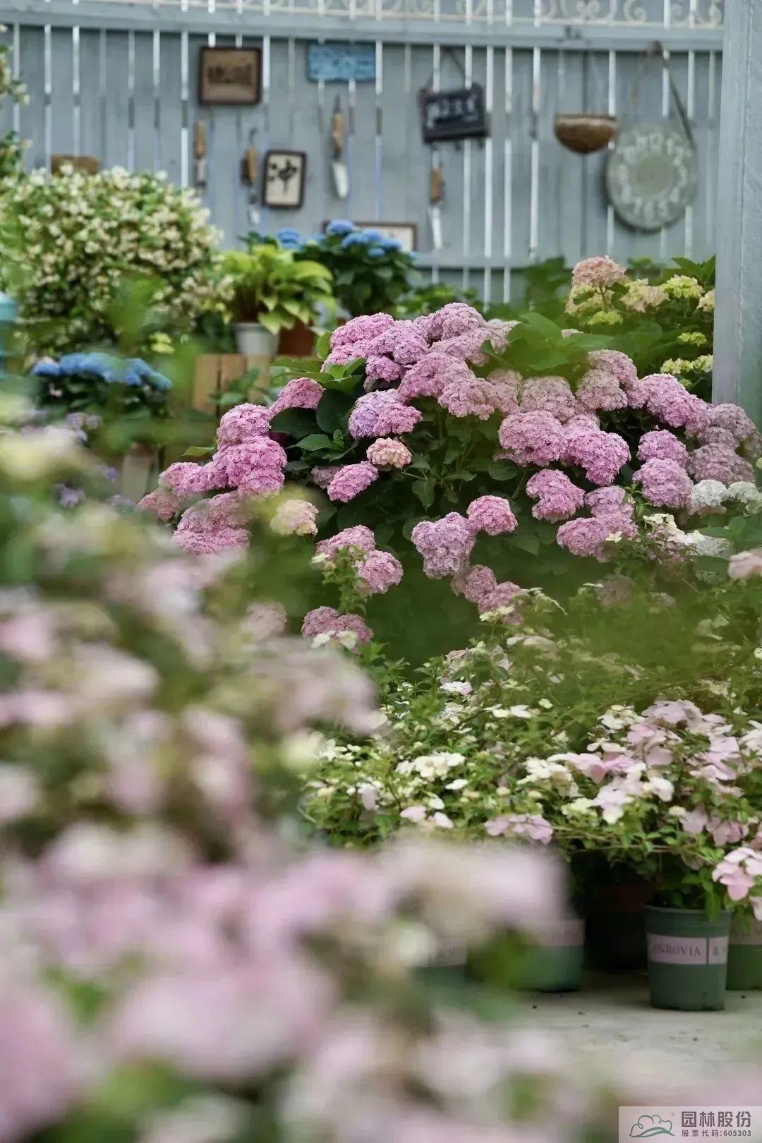 彩运网(中国游)官方网站