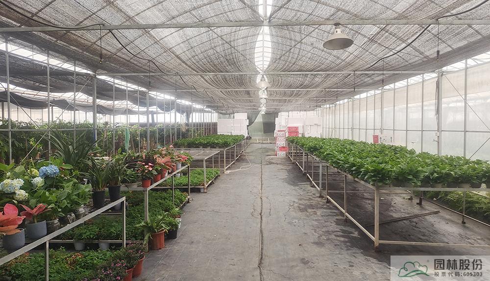 彩运网(中国游)官方网站