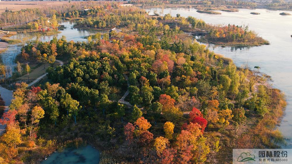 彩运网(中国游)官方网站