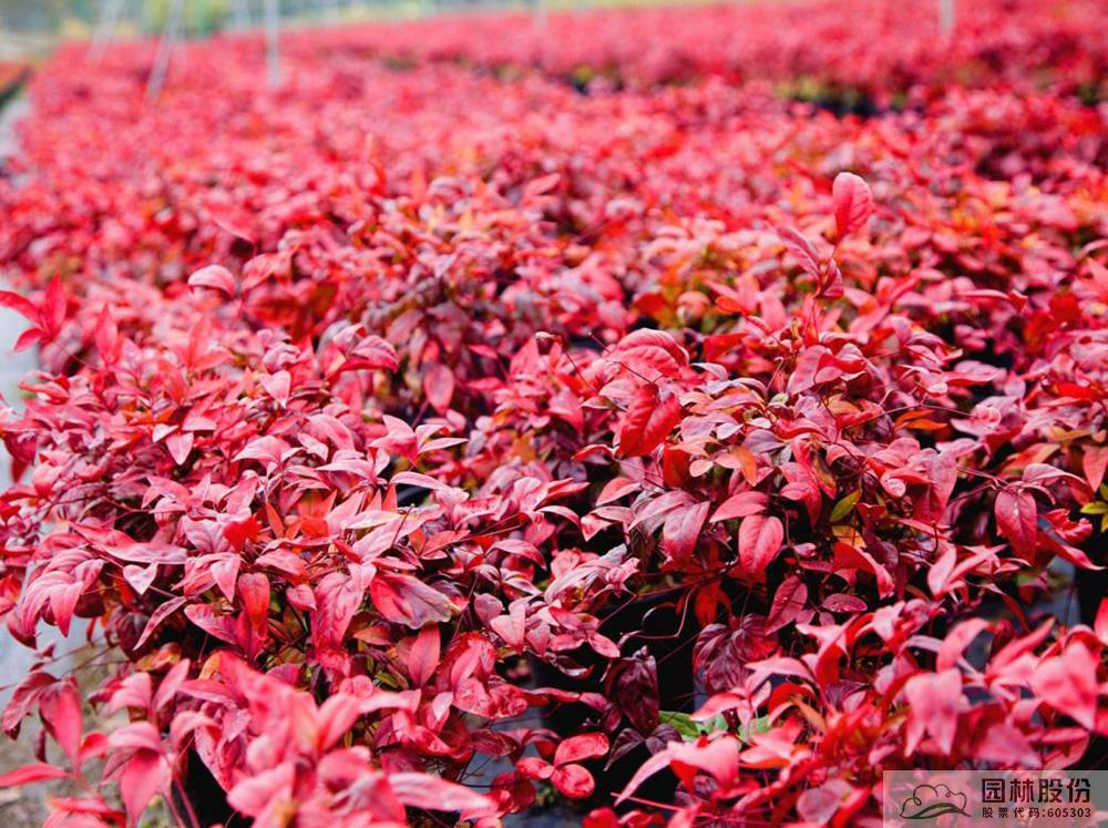 彩运网(中国游)官方网站