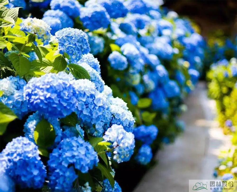 彩运网(中国游)官方网站