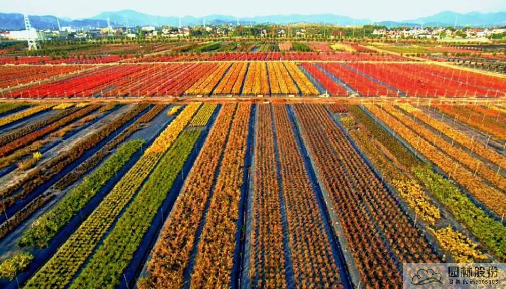 彩运网(中国游)官方网站