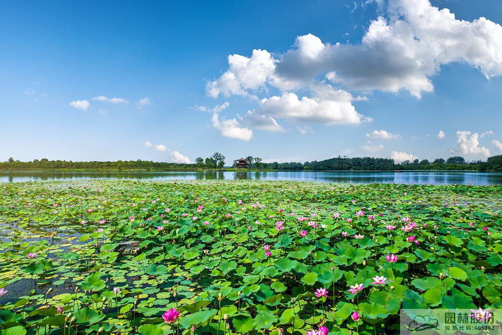 彩运网(中国游)官方网站