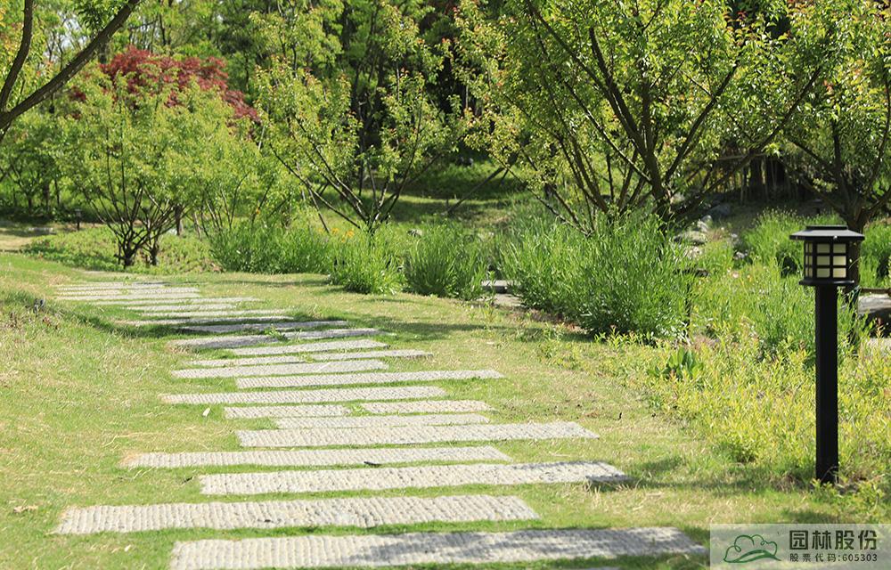 彩运网(中国游)官方网站