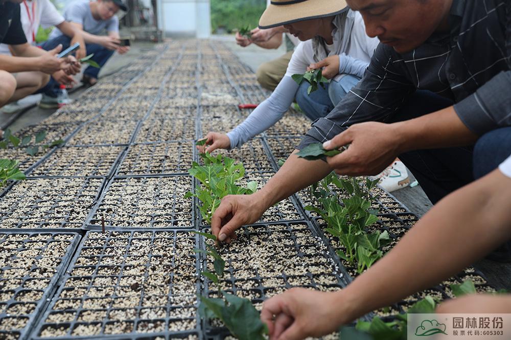 彩运网(中国游)官方网站