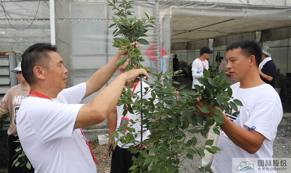 彩运网(中国游)官方网站