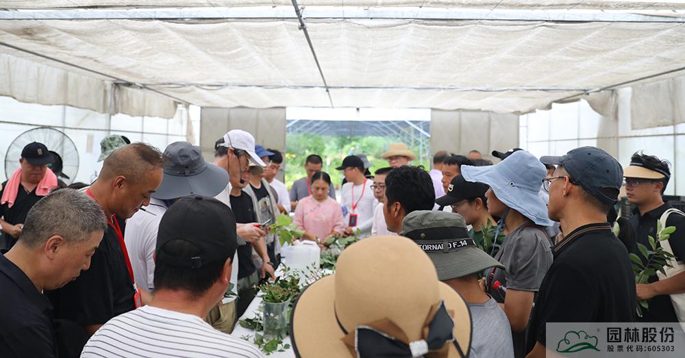 彩运网(中国游)官方网站