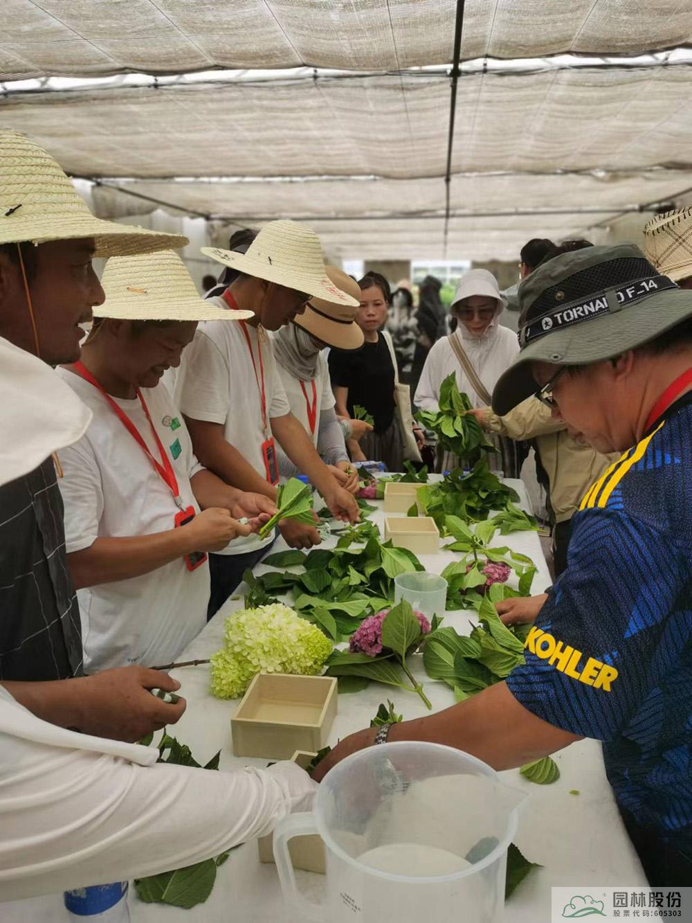 彩运网(中国游)官方网站