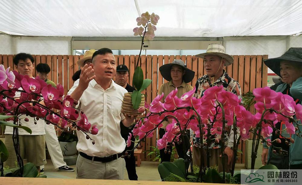 彩运网(中国游)官方网站