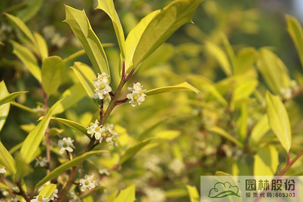 彩运网(中国游)官方网站