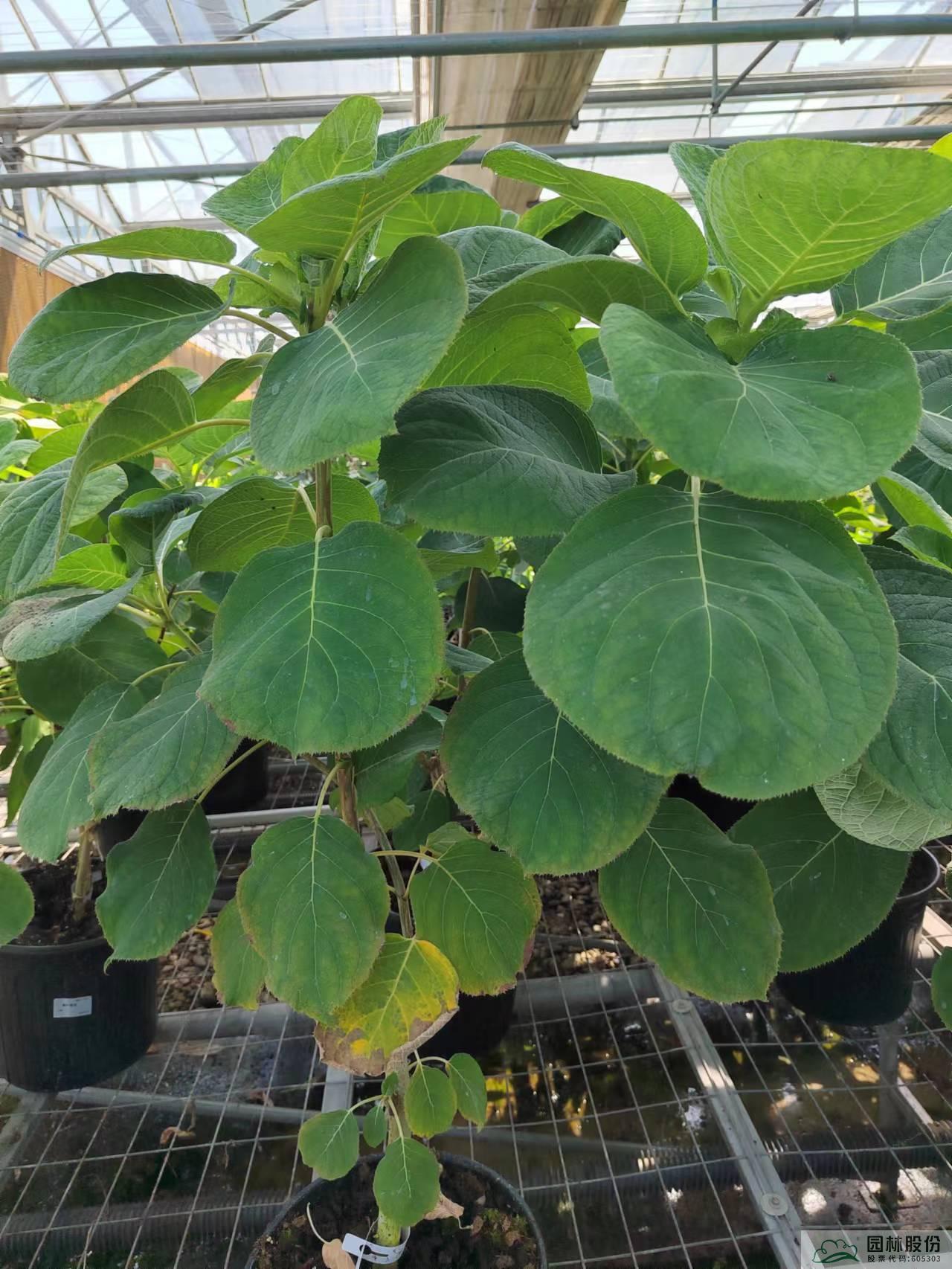 彩运网(中国游)官方网站