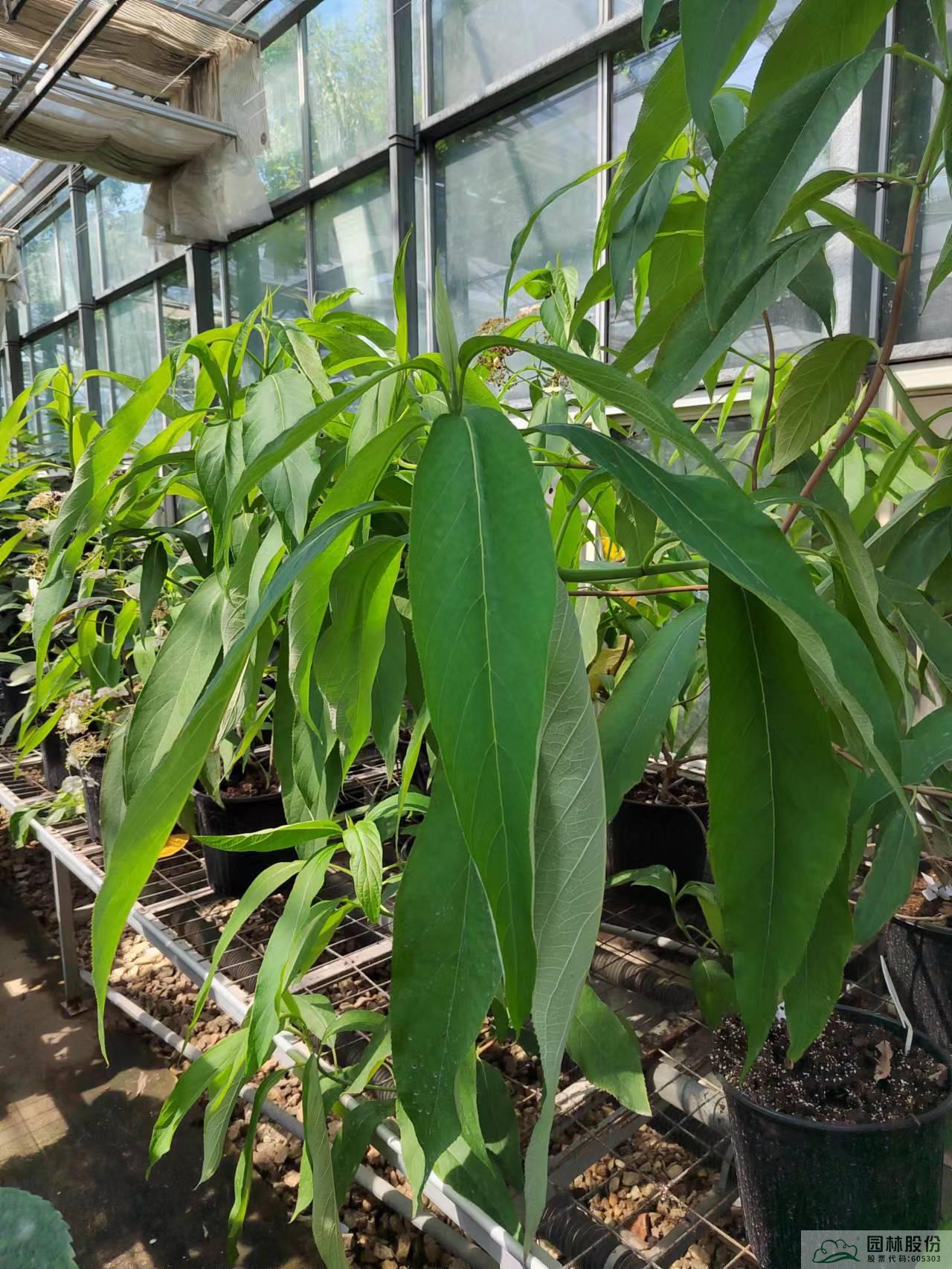 彩运网(中国游)官方网站