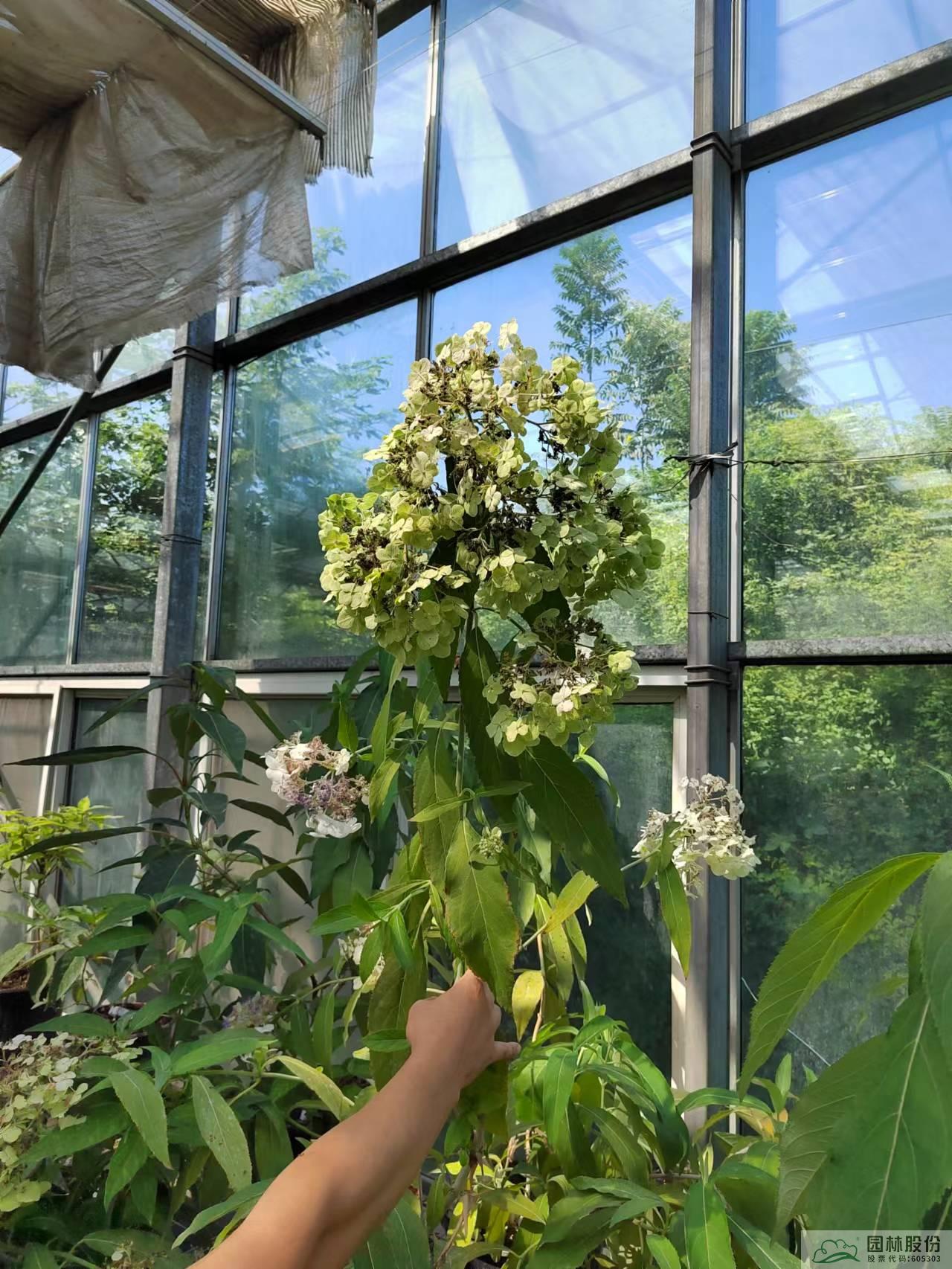 彩运网(中国游)官方网站