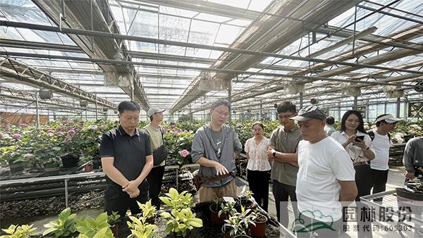 彩运网(中国游)官方网站