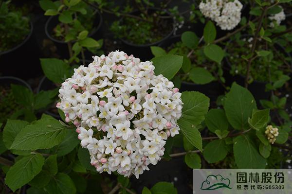 彩运网(中国游)官方网站