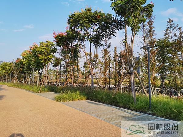 彩运网(中国游)官方网站