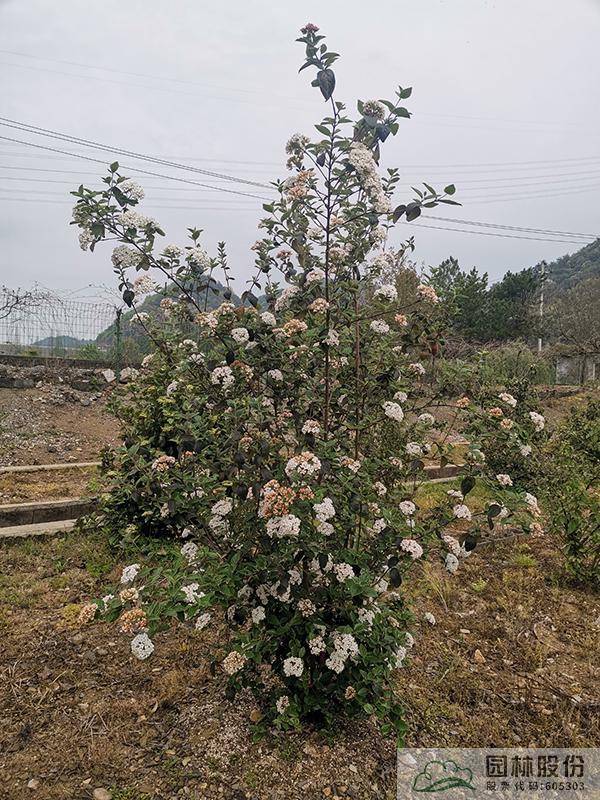 彩运网(中国游)官方网站