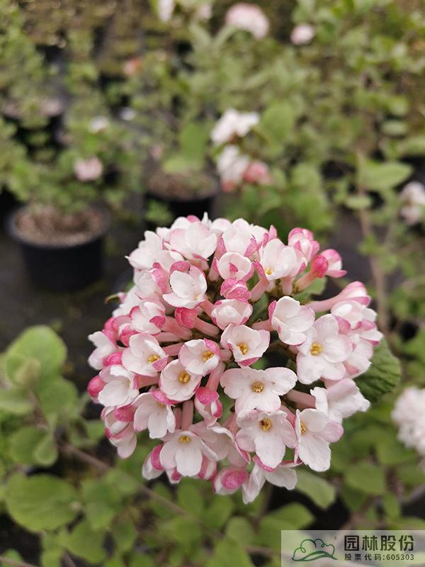 彩运网(中国游)官方网站