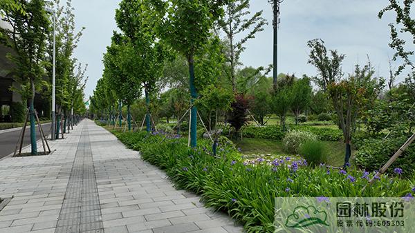 彩运网(中国游)官方网站