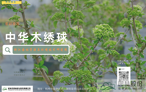 彩运网(中国游)官方网站