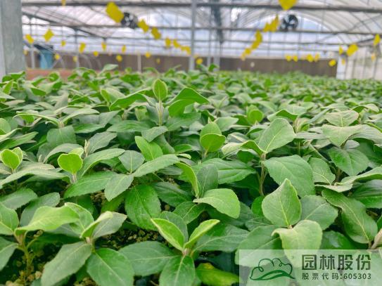 彩运网(中国游)官方网站