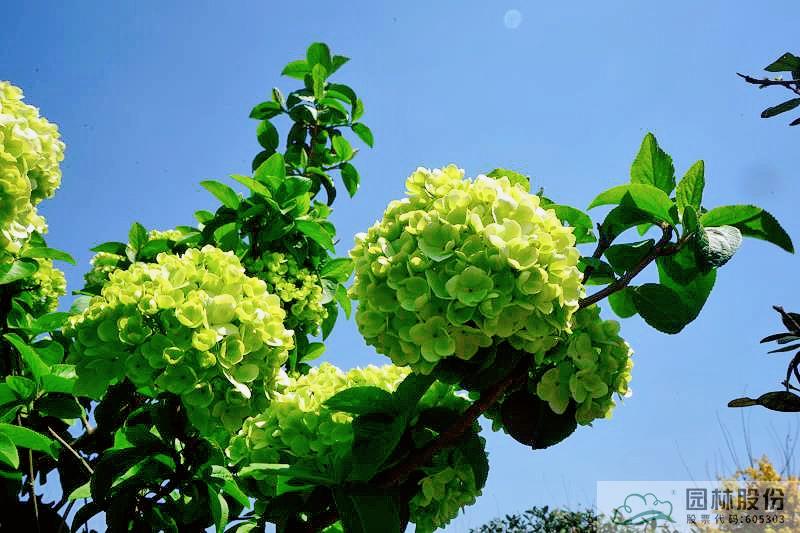 彩运网(中国游)官方网站