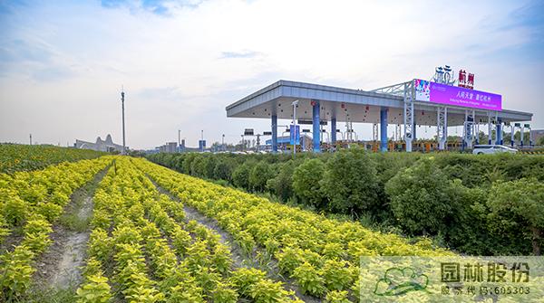 彩运网(中国游)官方网站