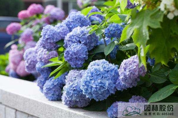 彩运网(中国游)官方网站