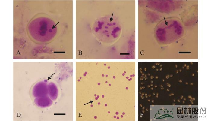 彩运网(中国游)官方网站