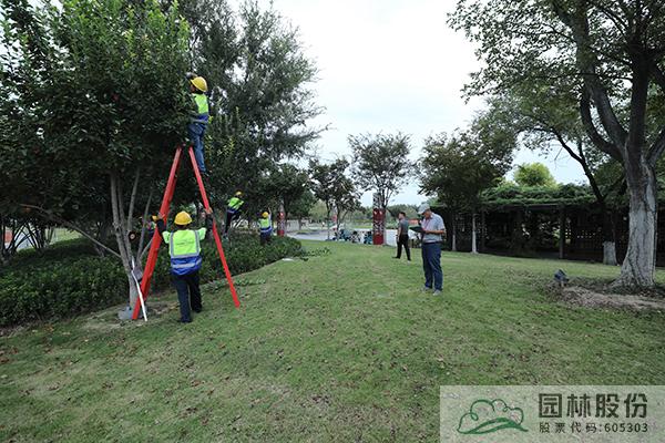 彩运网(中国游)官方网站