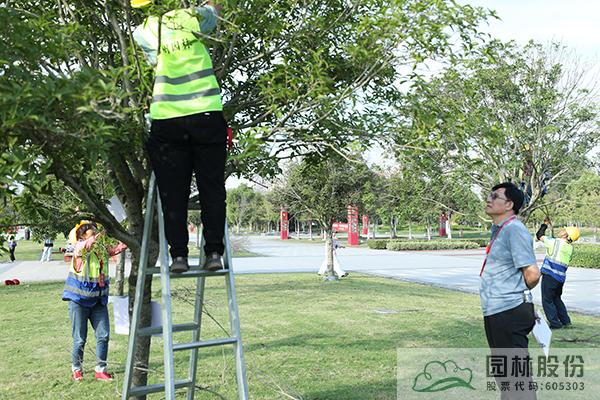 彩运网(中国游)官方网站