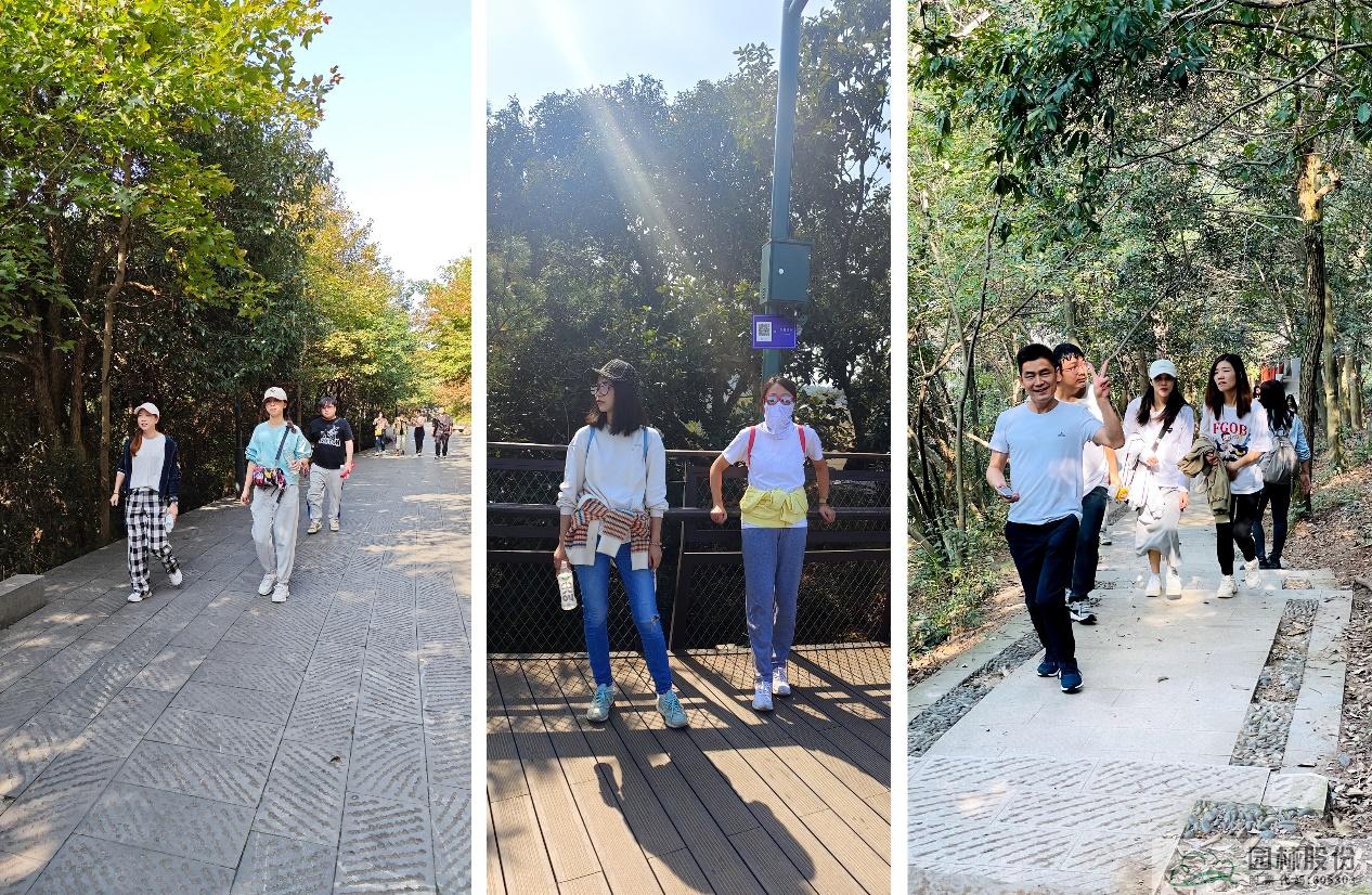 彩运网(中国游)官方网站