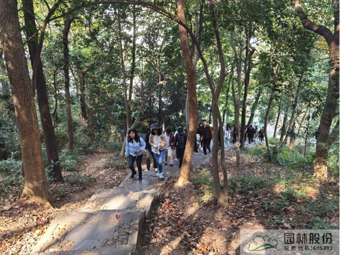 彩运网(中国游)官方网站