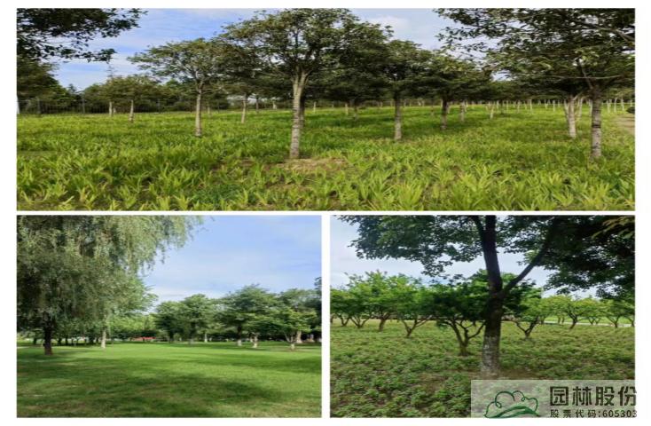 彩运网(中国游)官方网站