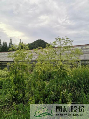 彩运网(中国游)官方网站