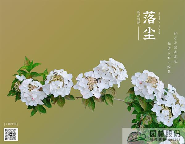 彩运网(中国游)官方网站