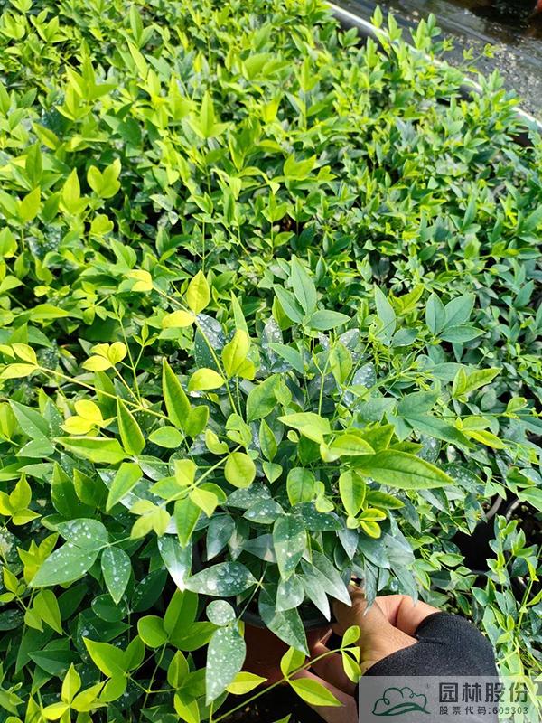 彩运网(中国游)官方网站