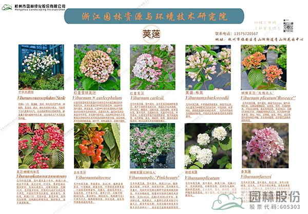 彩运网(中国游)官方网站