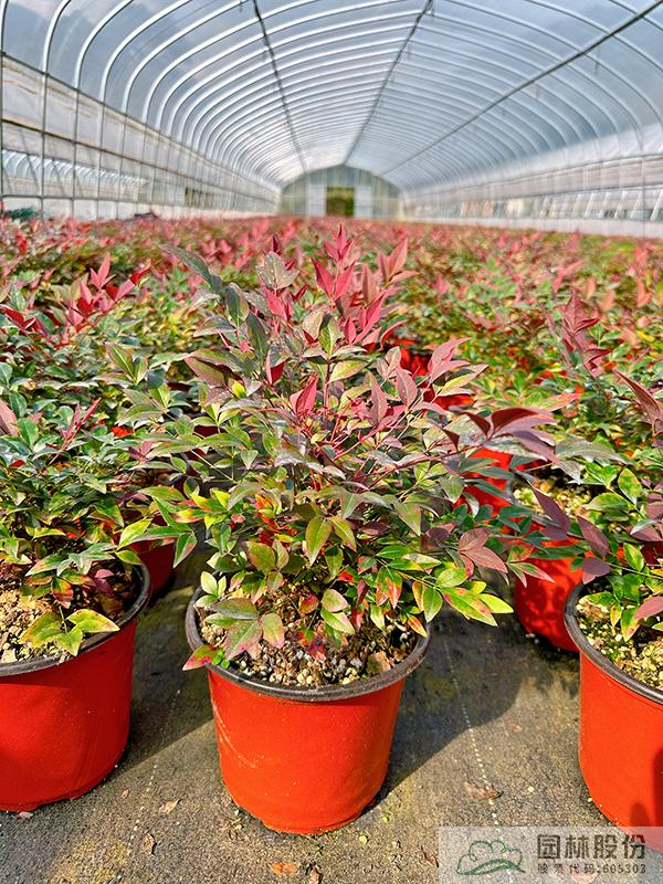 彩运网(中国游)官方网站