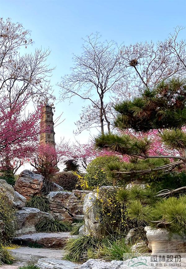 彩运网(中国游)官方网站