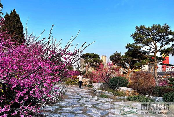 彩运网(中国游)官方网站